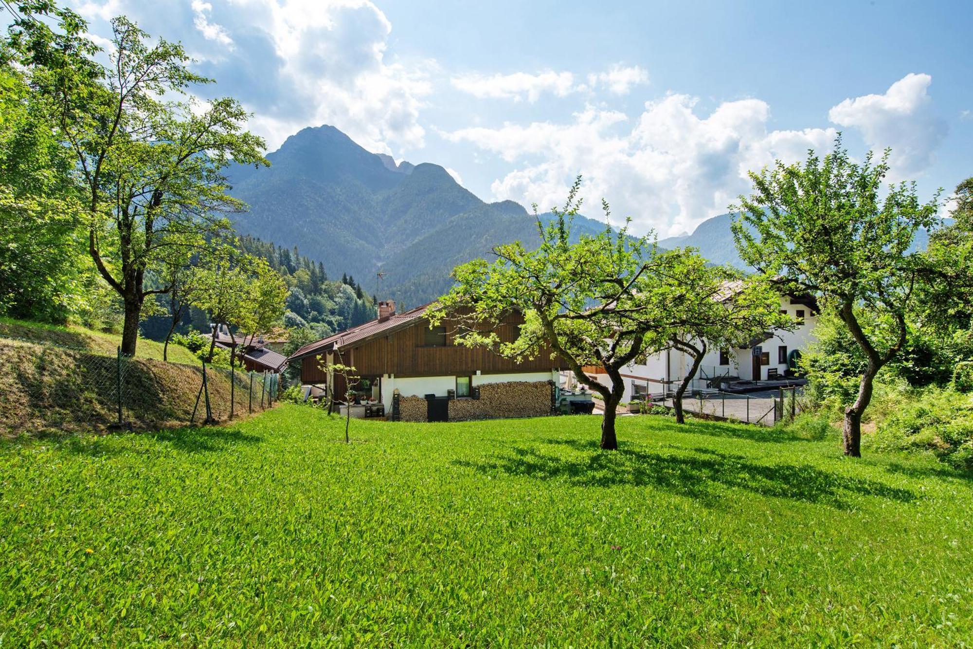 Monolocale Monti Pallidi Domegge di Cadore Buitenkant foto